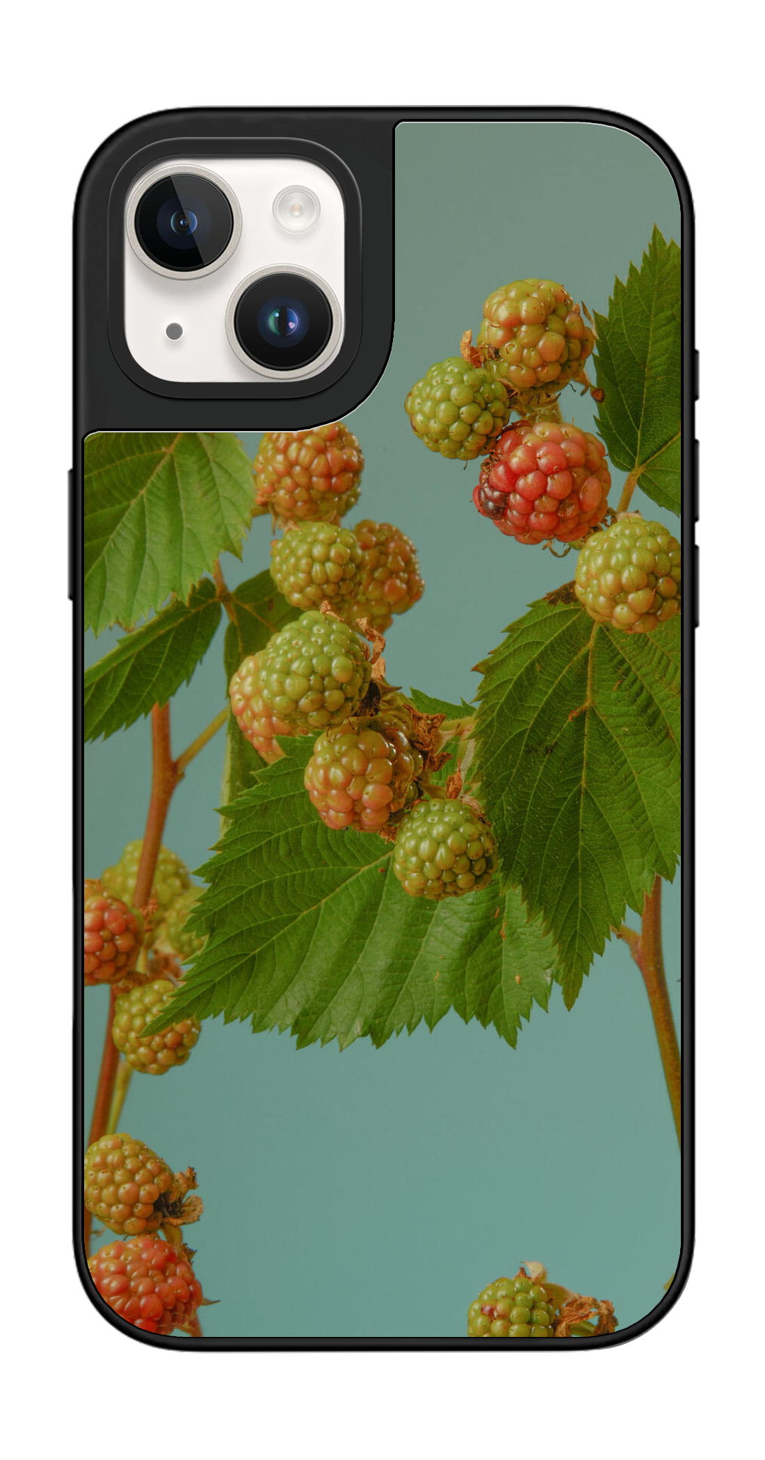 PV_VARIANT_3120__3120-classic-dual-silver-mirror.png