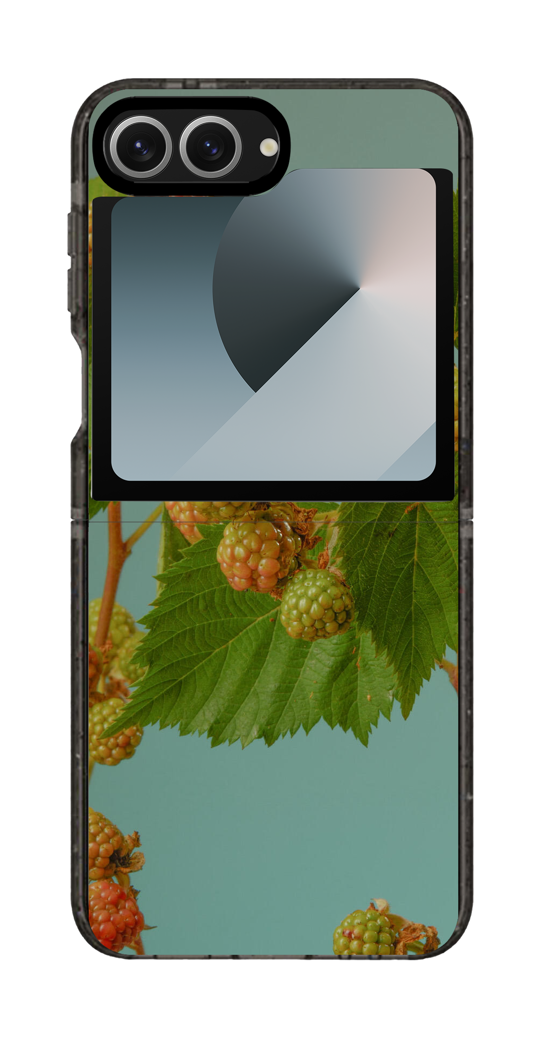 PV_VARIANT_3120__3120-galaxy-flip-clear-black.png