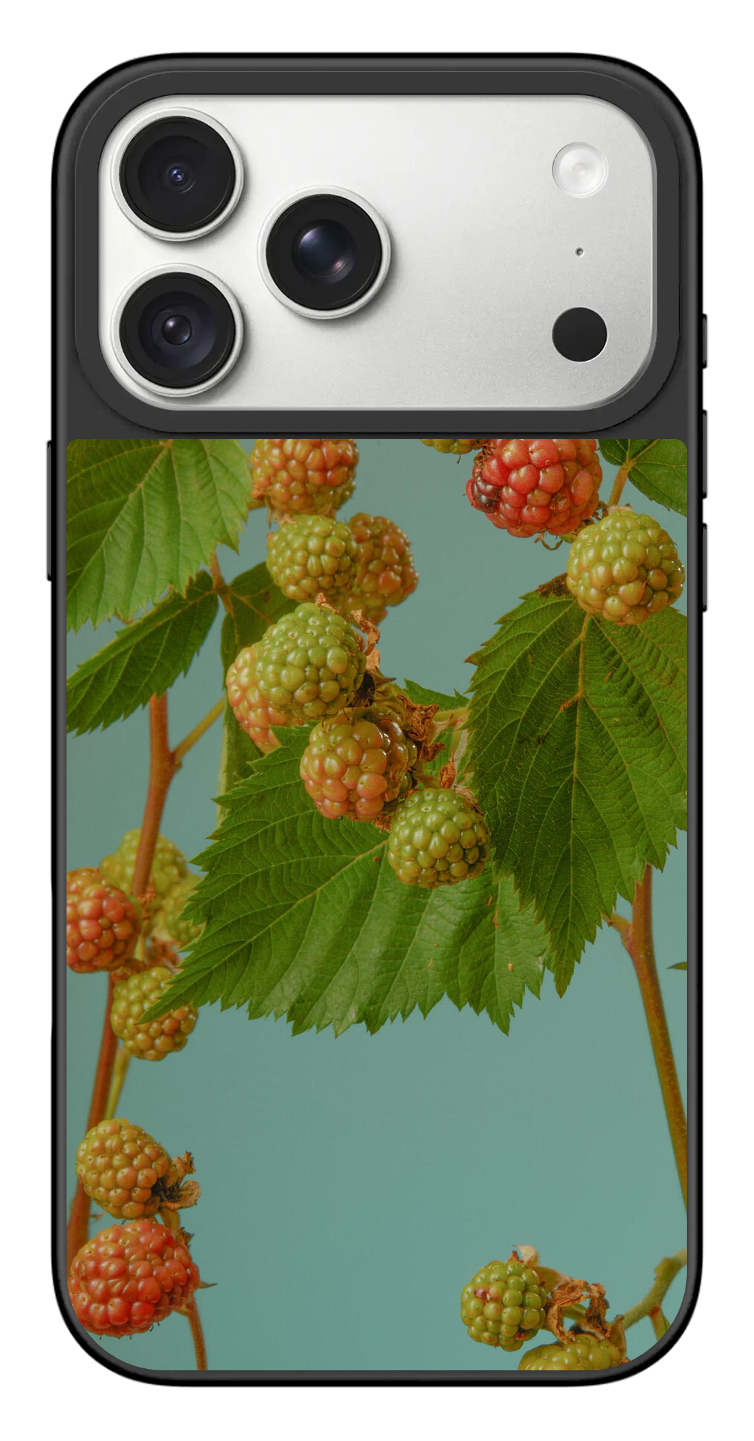 PV_VARIANT_3120__3120-horizontal-pro-max-black-mirror.png