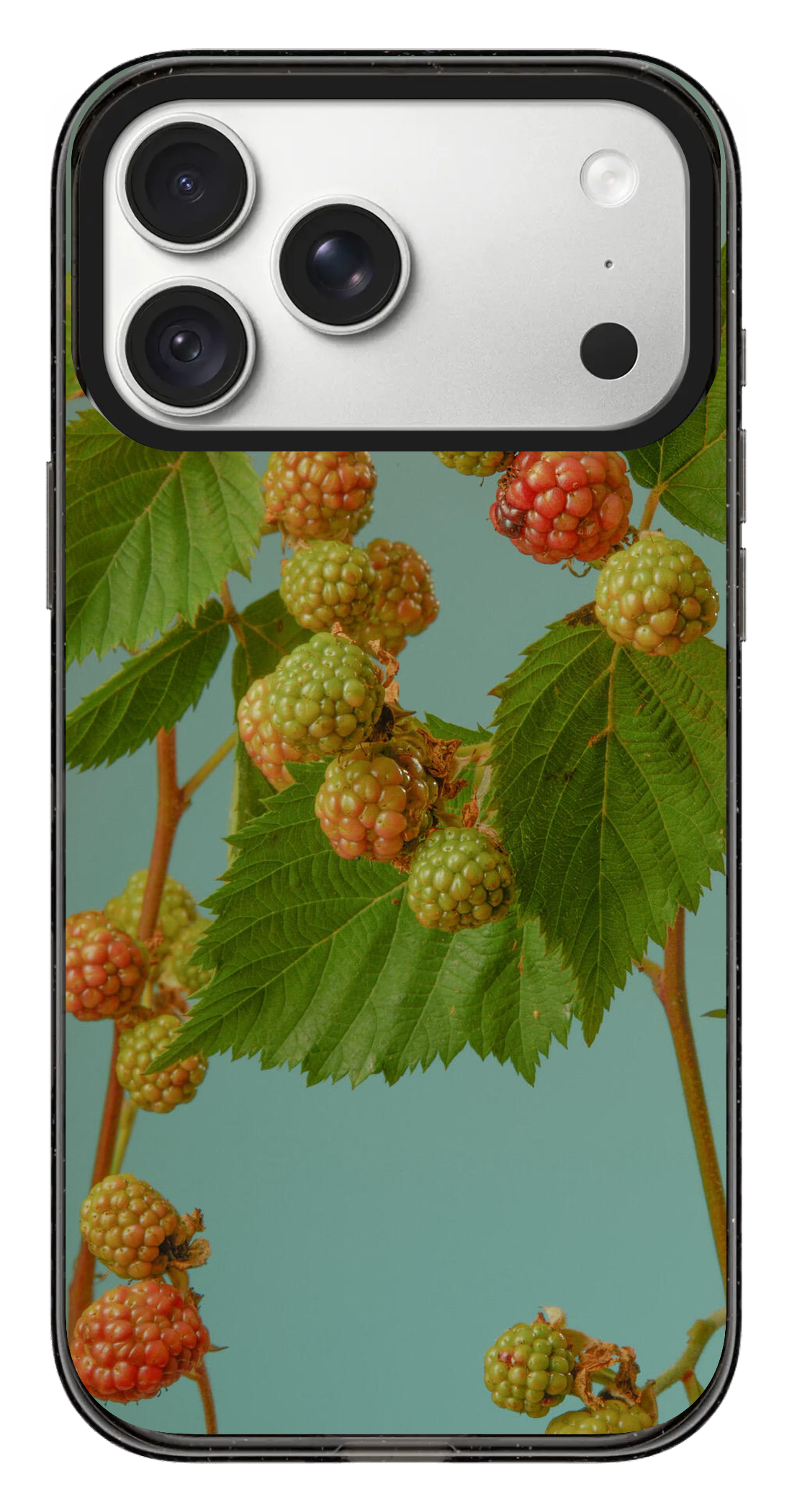 PV_VARIANT_3120__3120-horizontal-pro-max-clear-black-impact.png