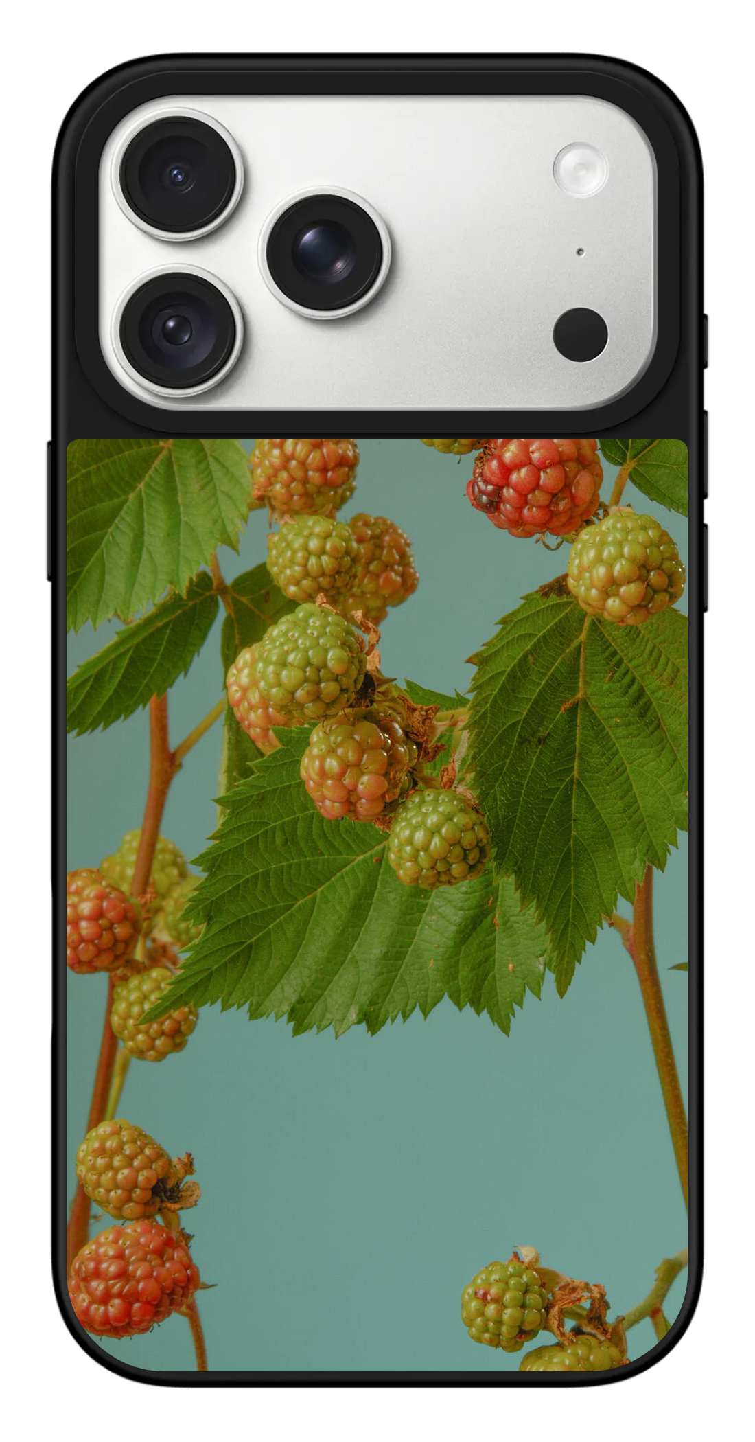 PV_VARIANT_3120__3120-horizontal-pro-max-silver-mirror.png