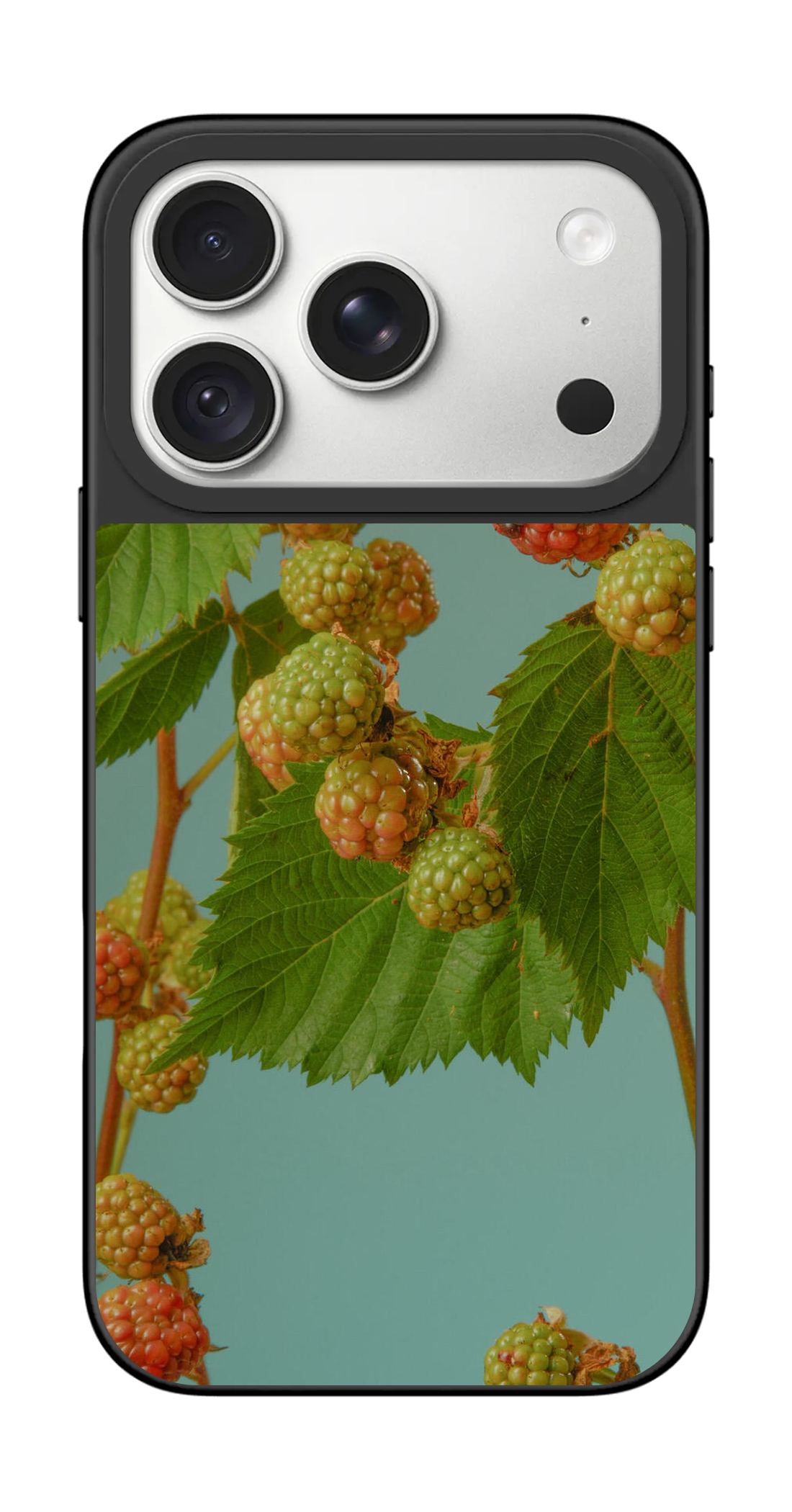 PV_VARIANT_3120__3120-horizontal-pro-silver-mirror.png