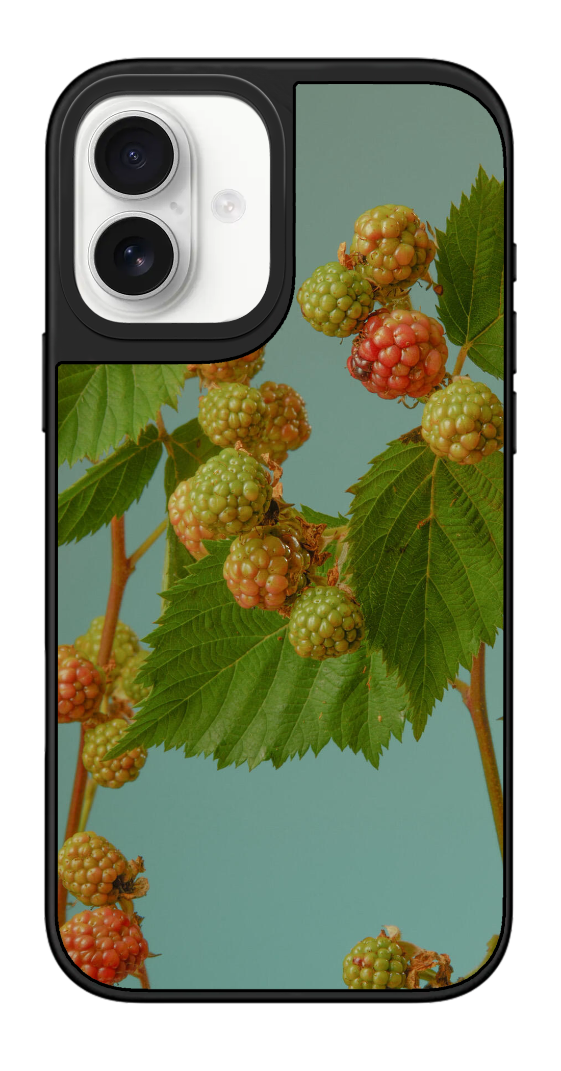 PV_VARIANT_3120__3120-vertical-dual-black-mirror.png