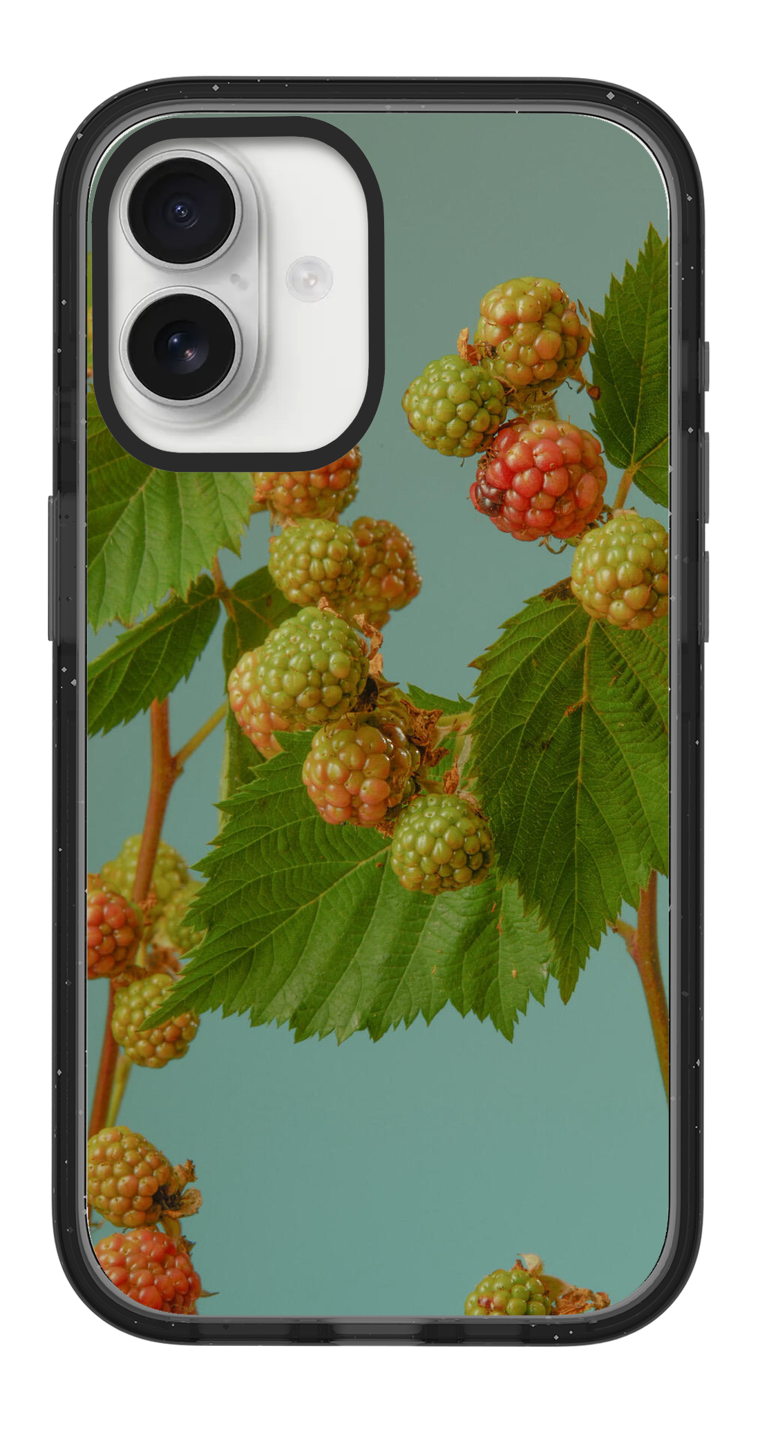 PV_VARIANT_3120__3120-vertical-dual-clear-black-impact.png