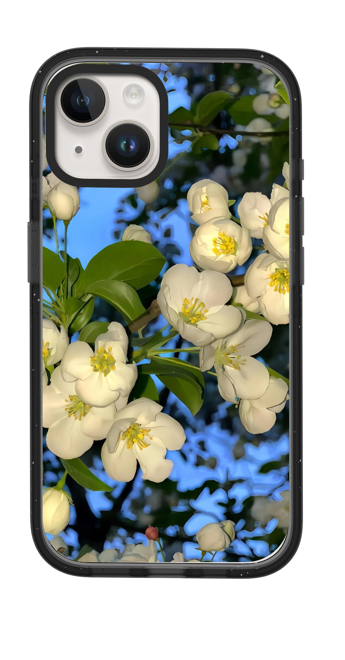 PV_VARIANT_3123__3123-classic-dual-clear-black-impact.png