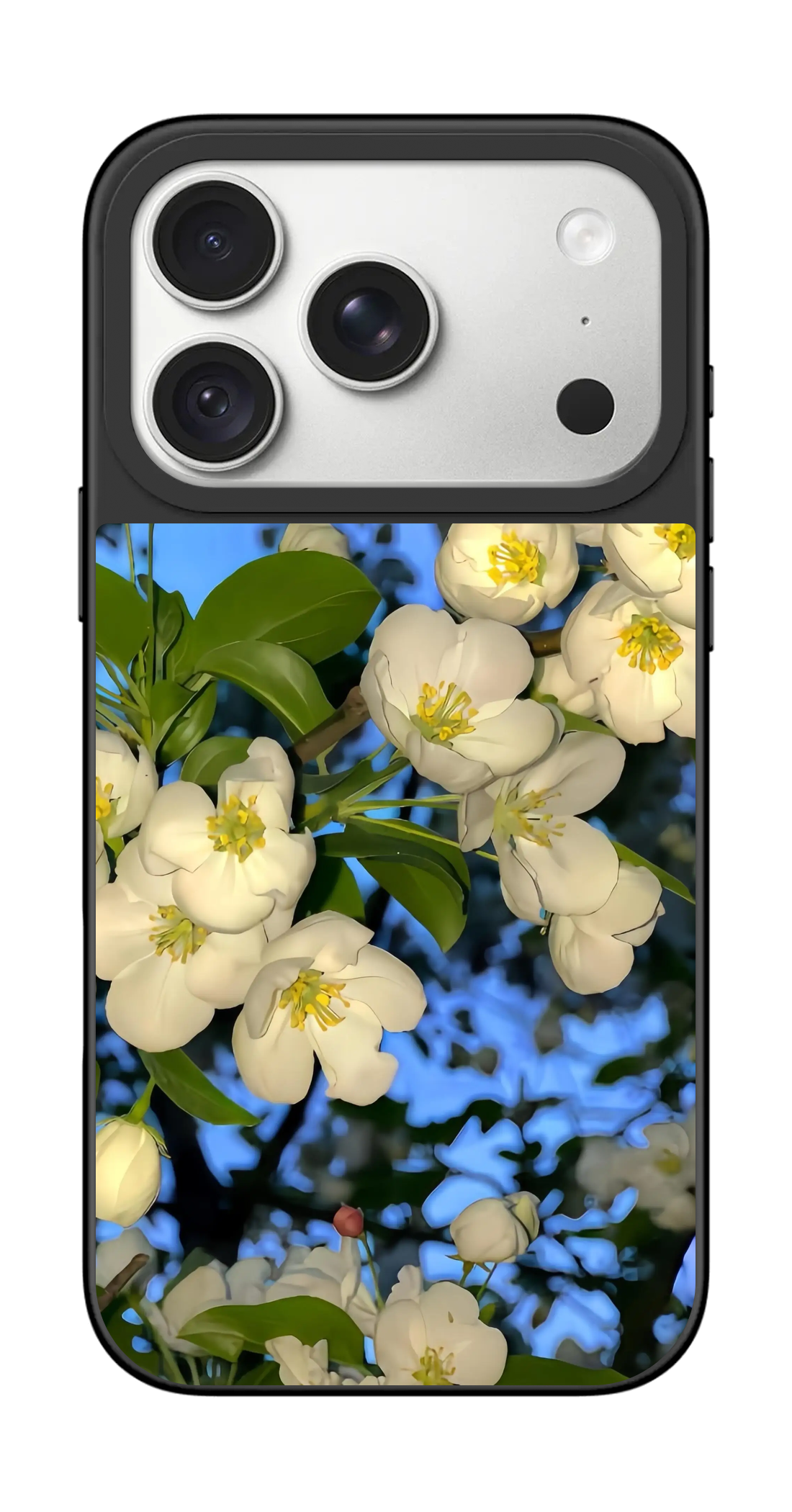 PV_VARIANT_3123__3123-horizontal-pro-silver-mirror.png
