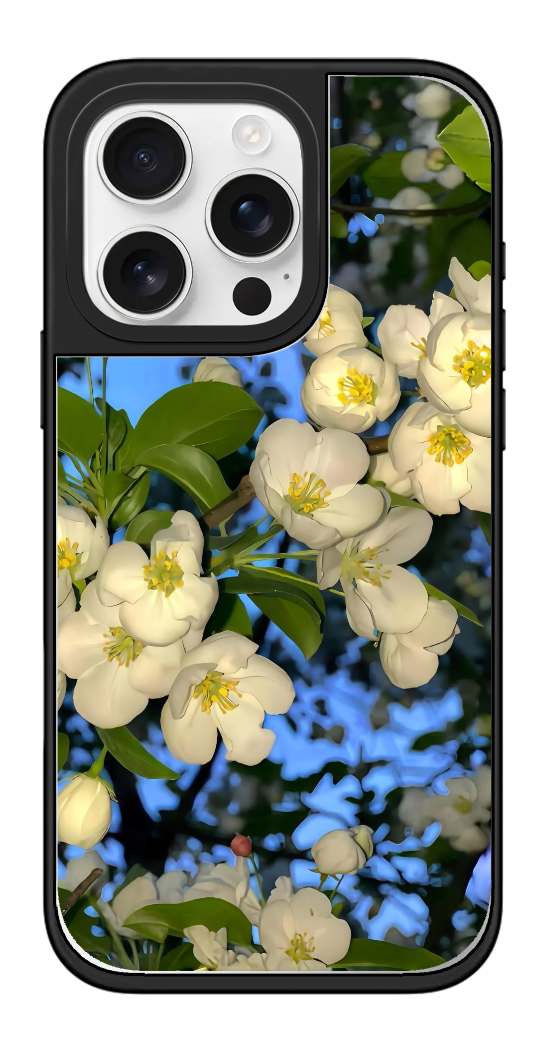 PV_VARIANT_3123__3123-legacy-pro-silver-mirror.png