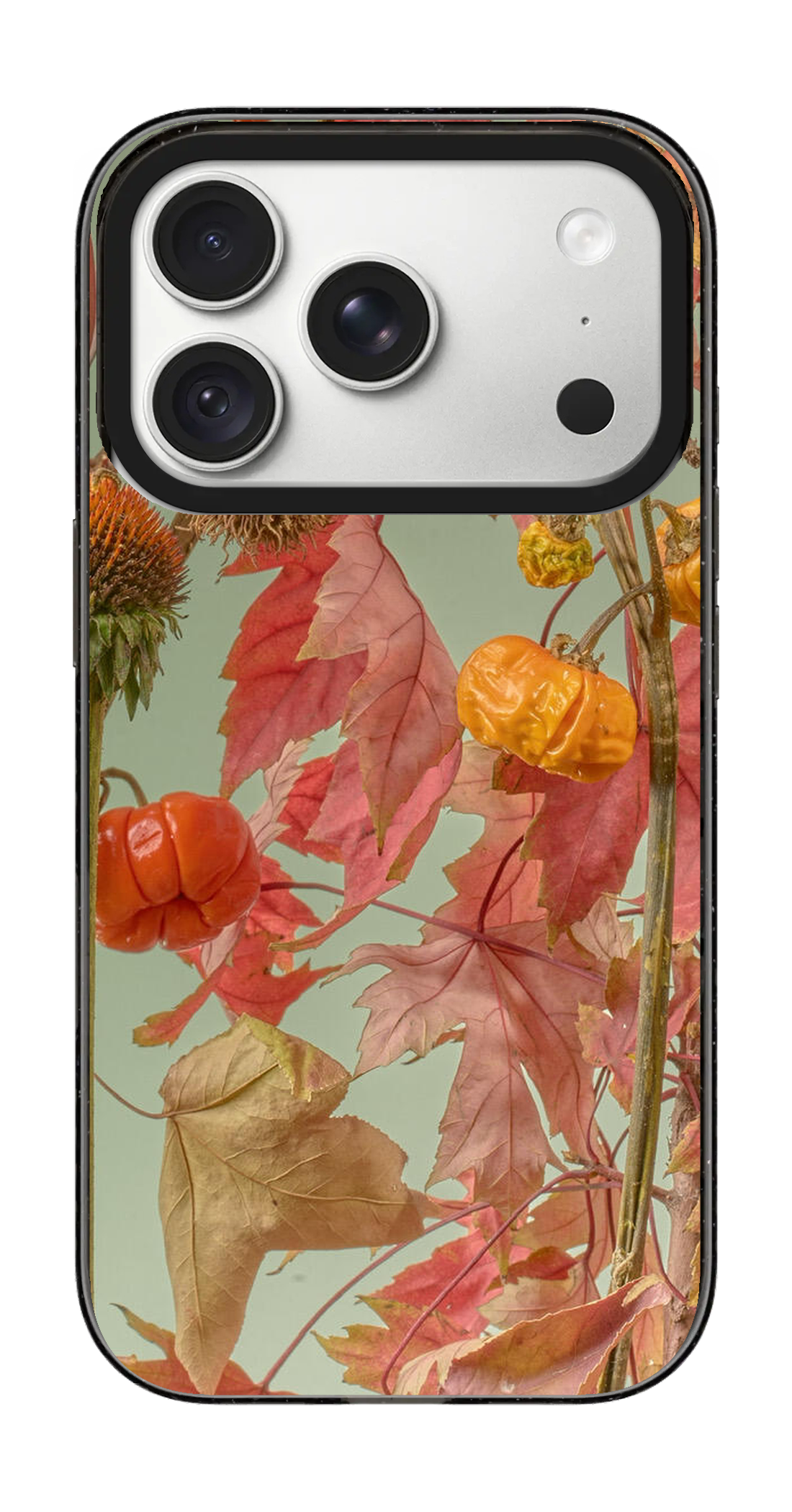 PV_VARIANT_3124__3124-horizontal-pro-clear-black-impact.png