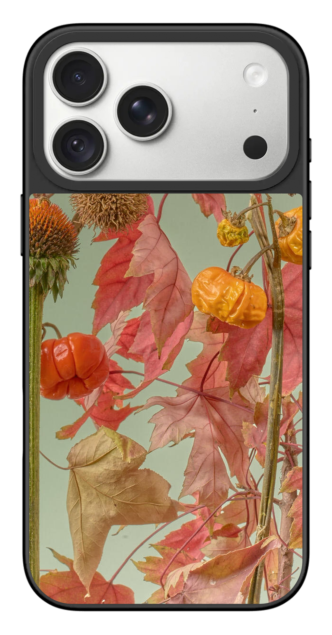 PV_VARIANT_3124__3124-horizontal-pro-max-black-mirror.png