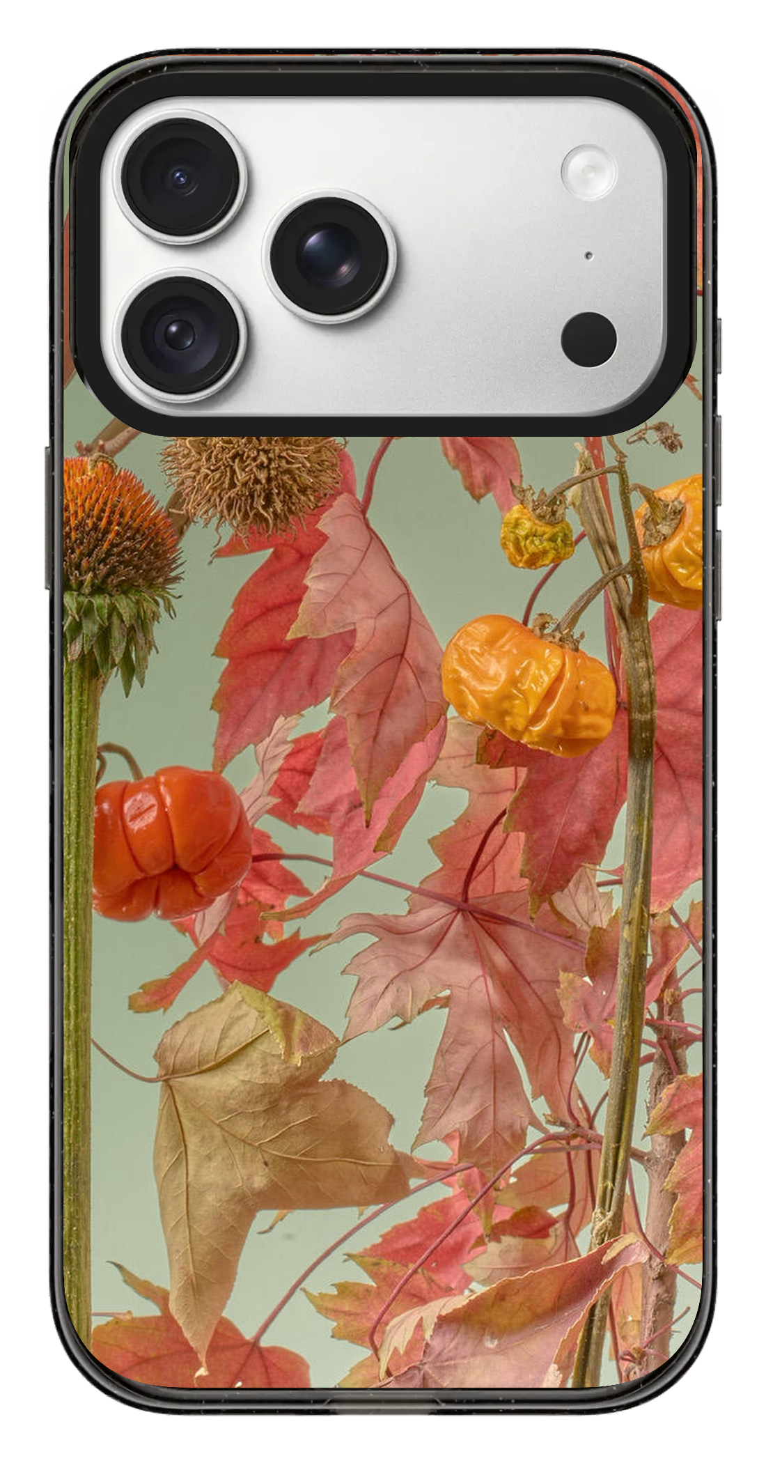 PV_VARIANT_3124__3124-horizontal-pro-max-clear-black-impact.png