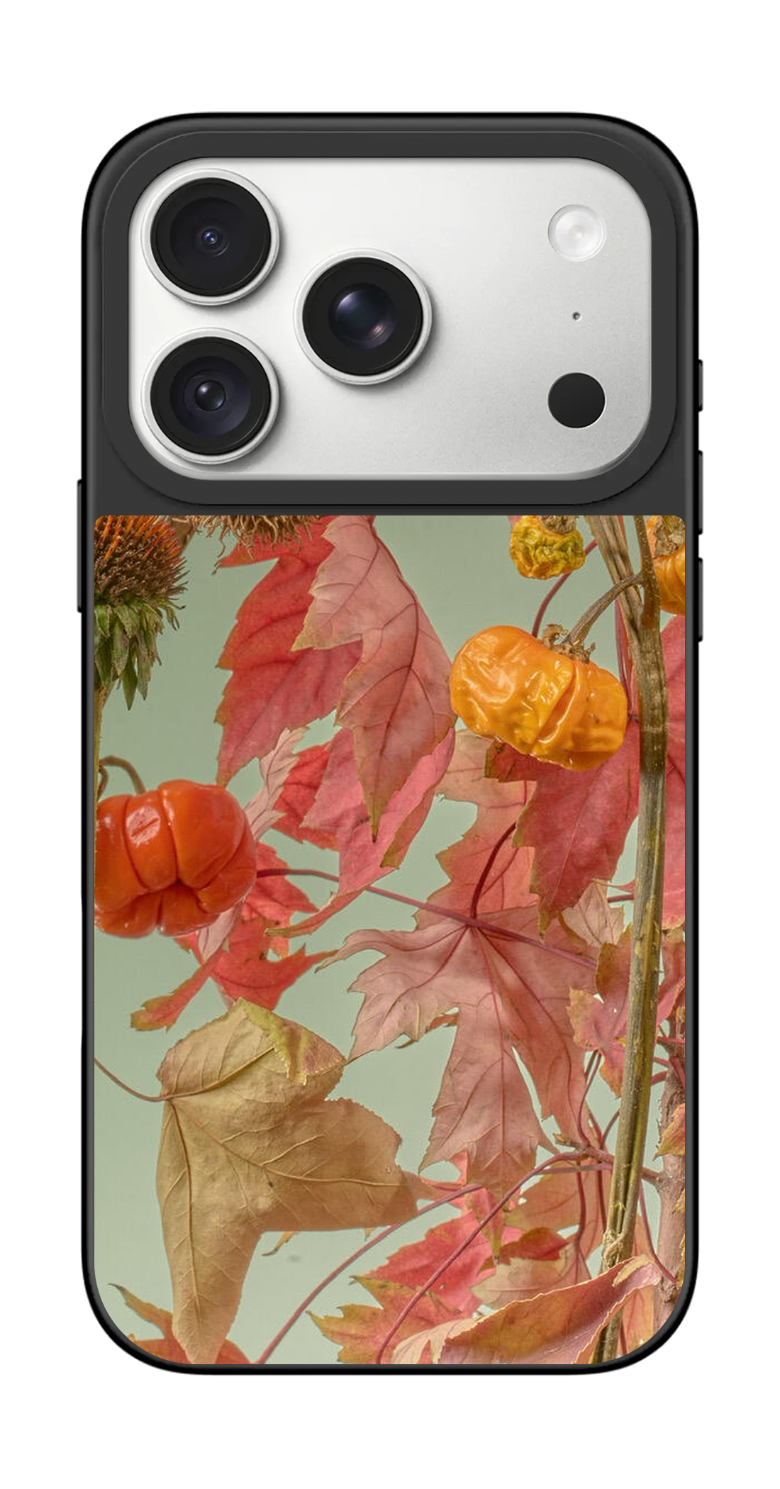 PV_VARIANT_3124__3124-horizontal-pro-silver-mirror.png