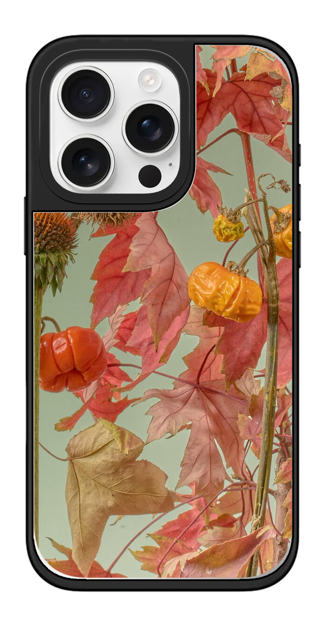 PV_VARIANT_3124__3124-legacy-pro-silver-mirror.png