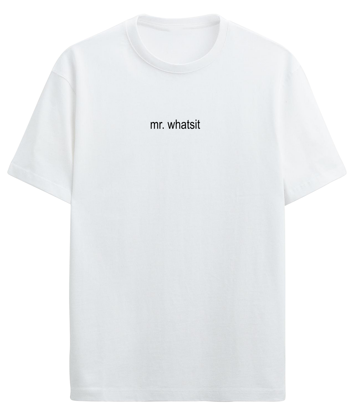 PV_VARIANT_3338__3338-tshirt-basic-white-l.png