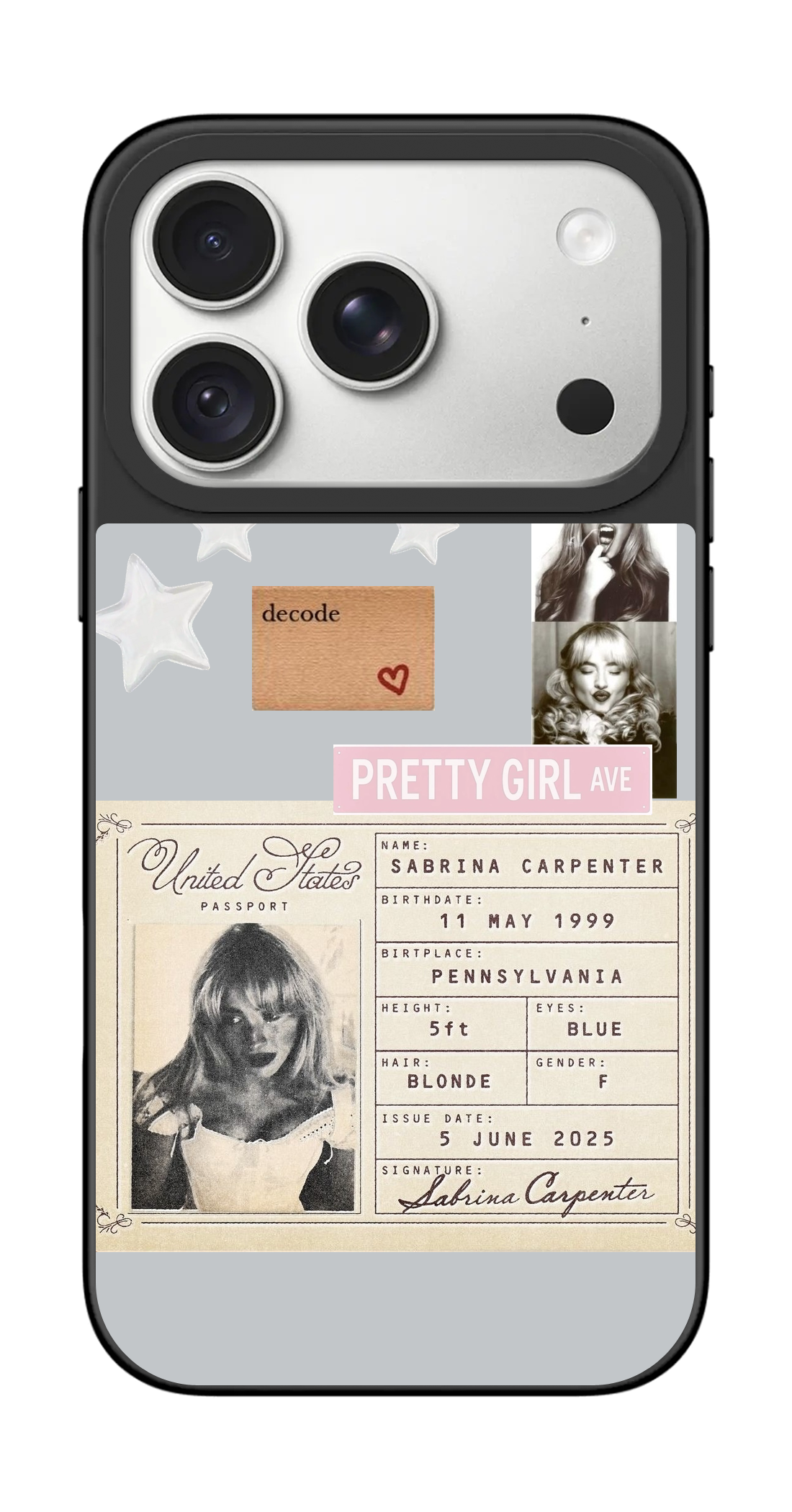 PV_VARIANT_4214__4214-horizontal-pro-silver-mirror.png
