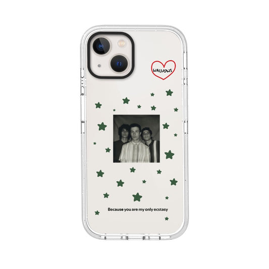 Customizable Phone Case – Wallows Love Letter [1590]