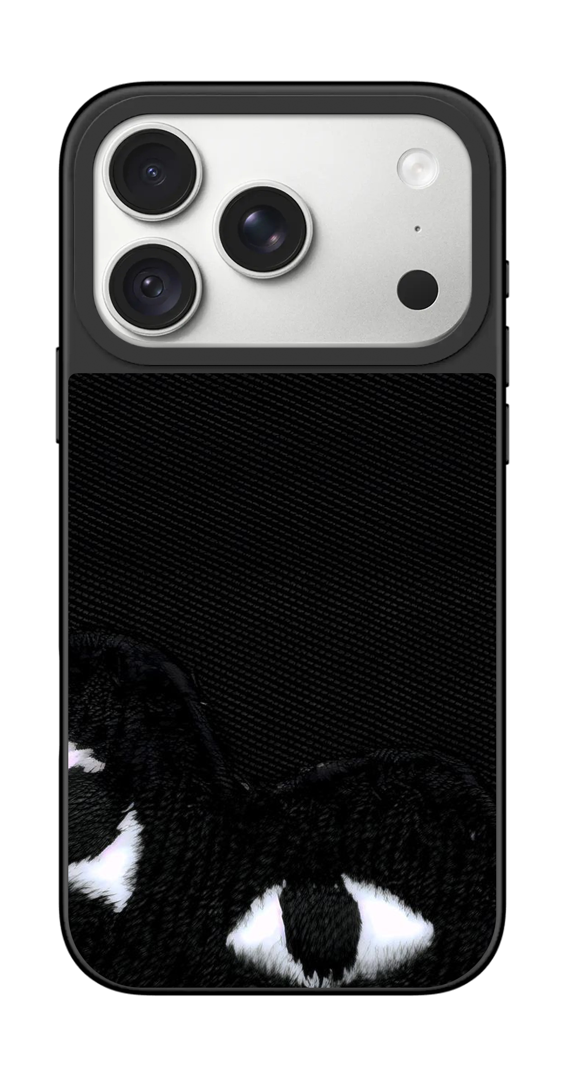 PV_VARIANT_5283__5283-horizontal-pro-silver-mirror.png