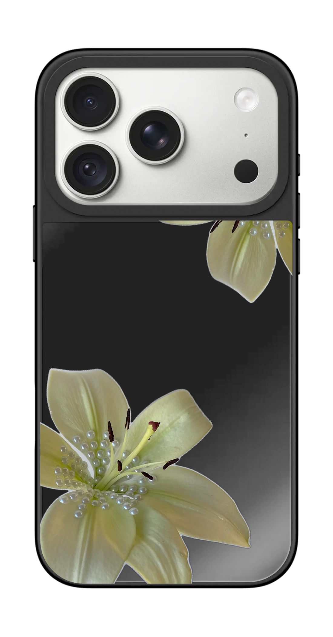 PV_VARIANT_5360__5360-horizontal-pro-black-mirror.png