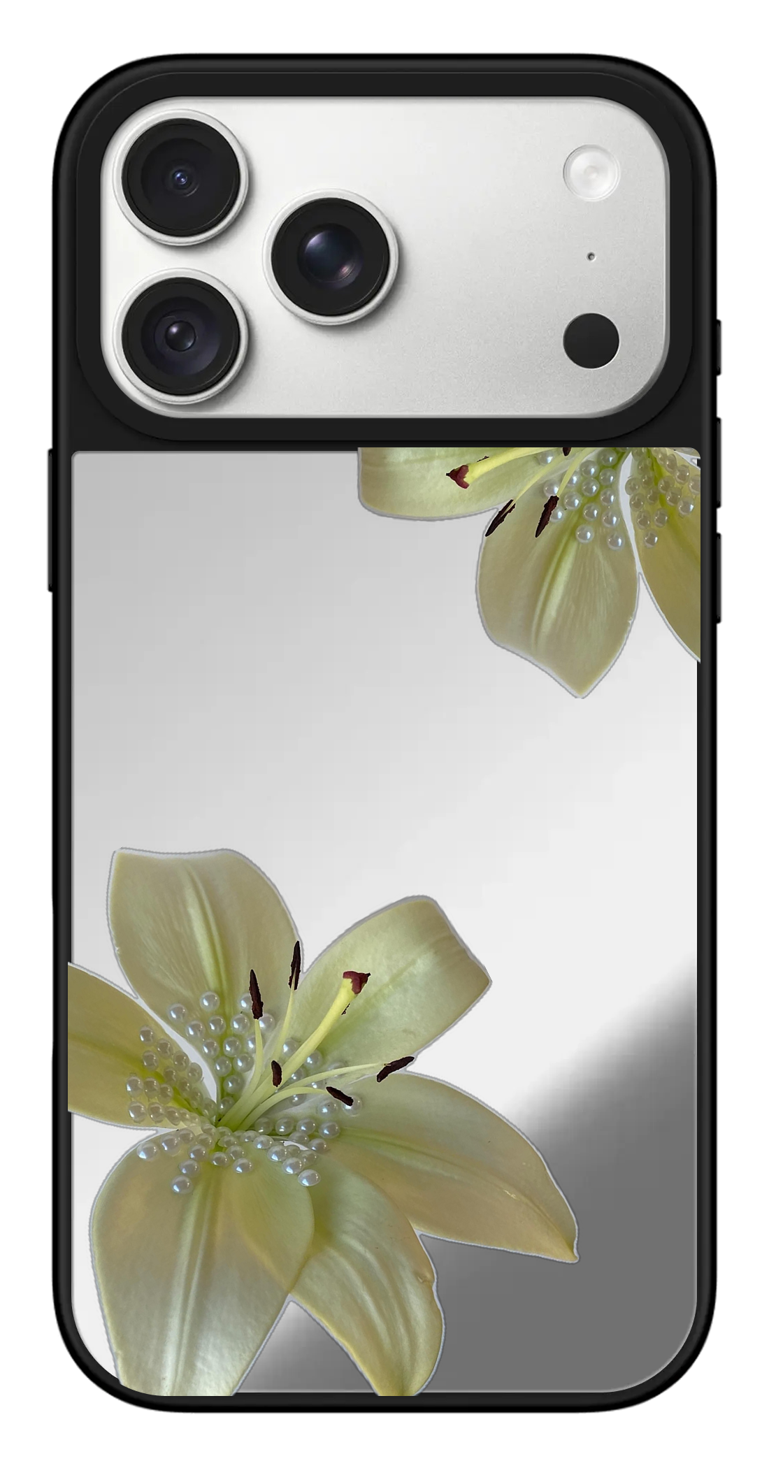 PV_VARIANT_5360__5360-horizontal-pro-max-silver-mirror.png