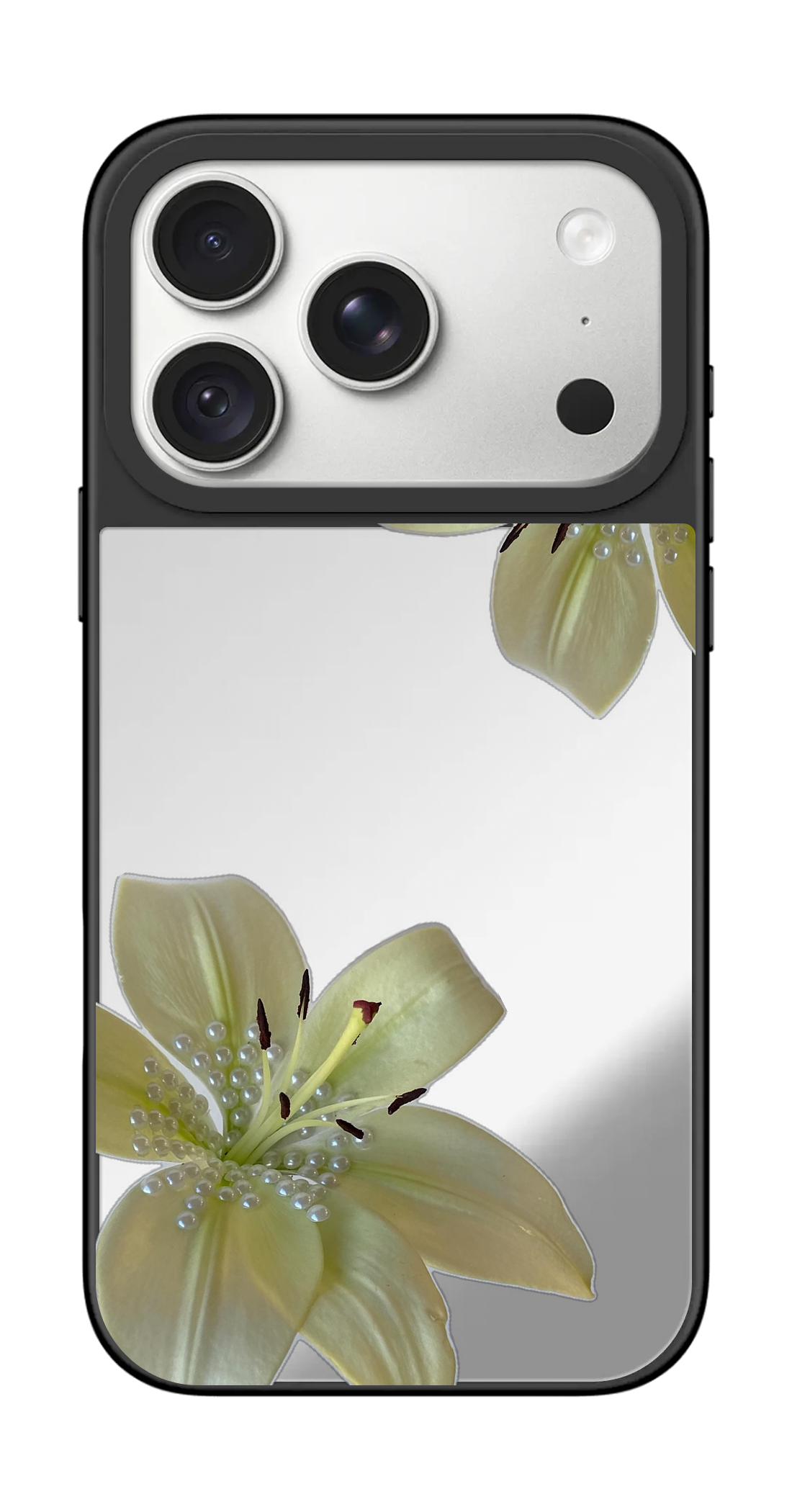 PV_VARIANT_5360__5360-horizontal-pro-silver-mirror.png