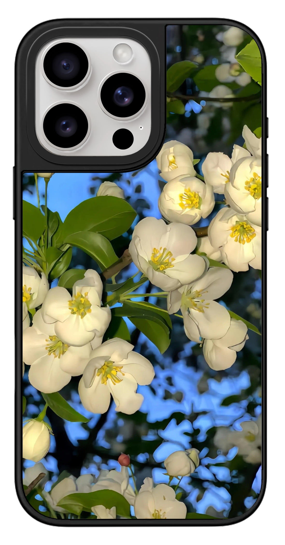 PixVoices rendered material preview - 3123 - Black Mirror Case