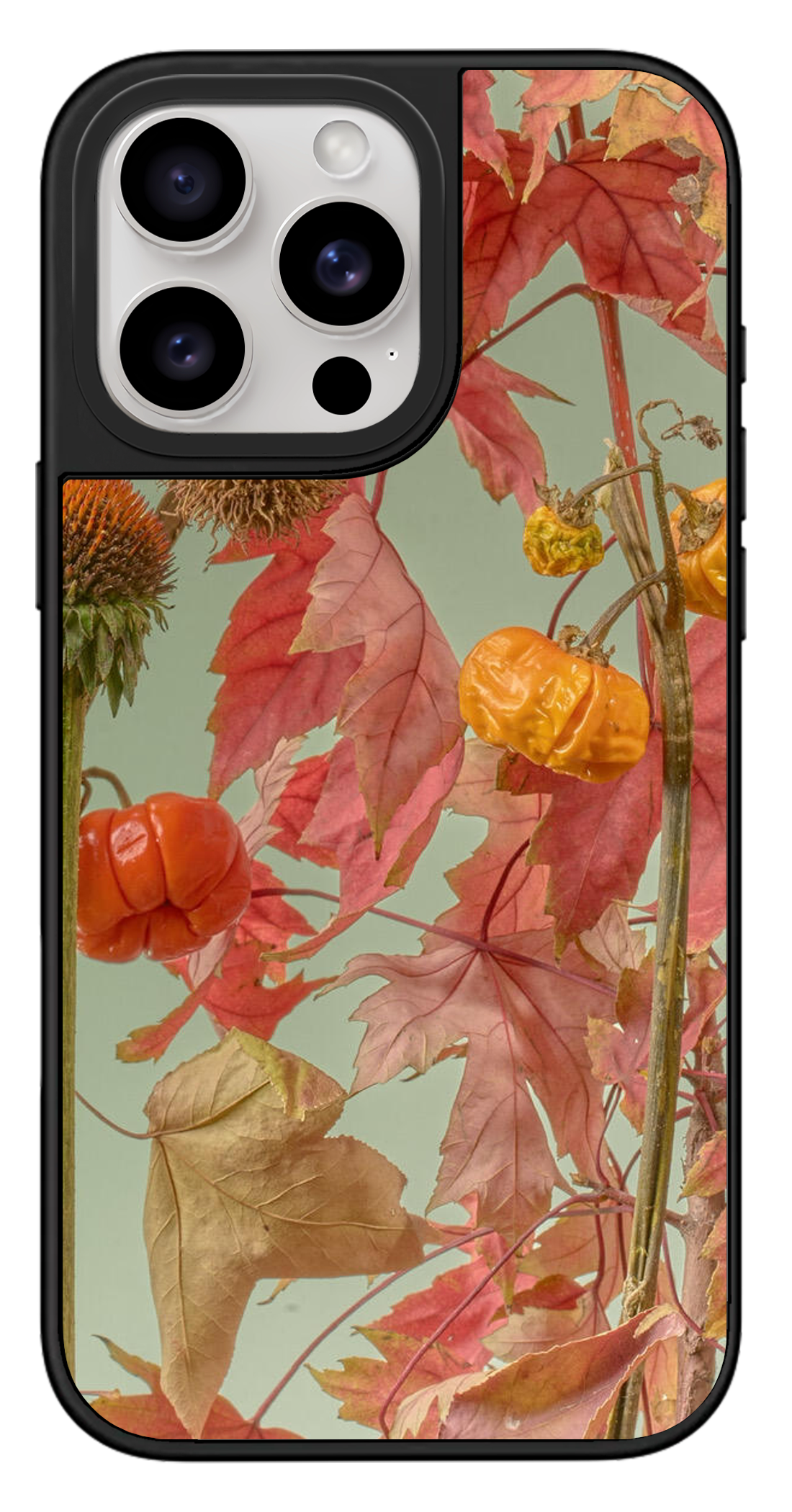 PixVoices rendered material preview - 3124 - Black Mirror Case