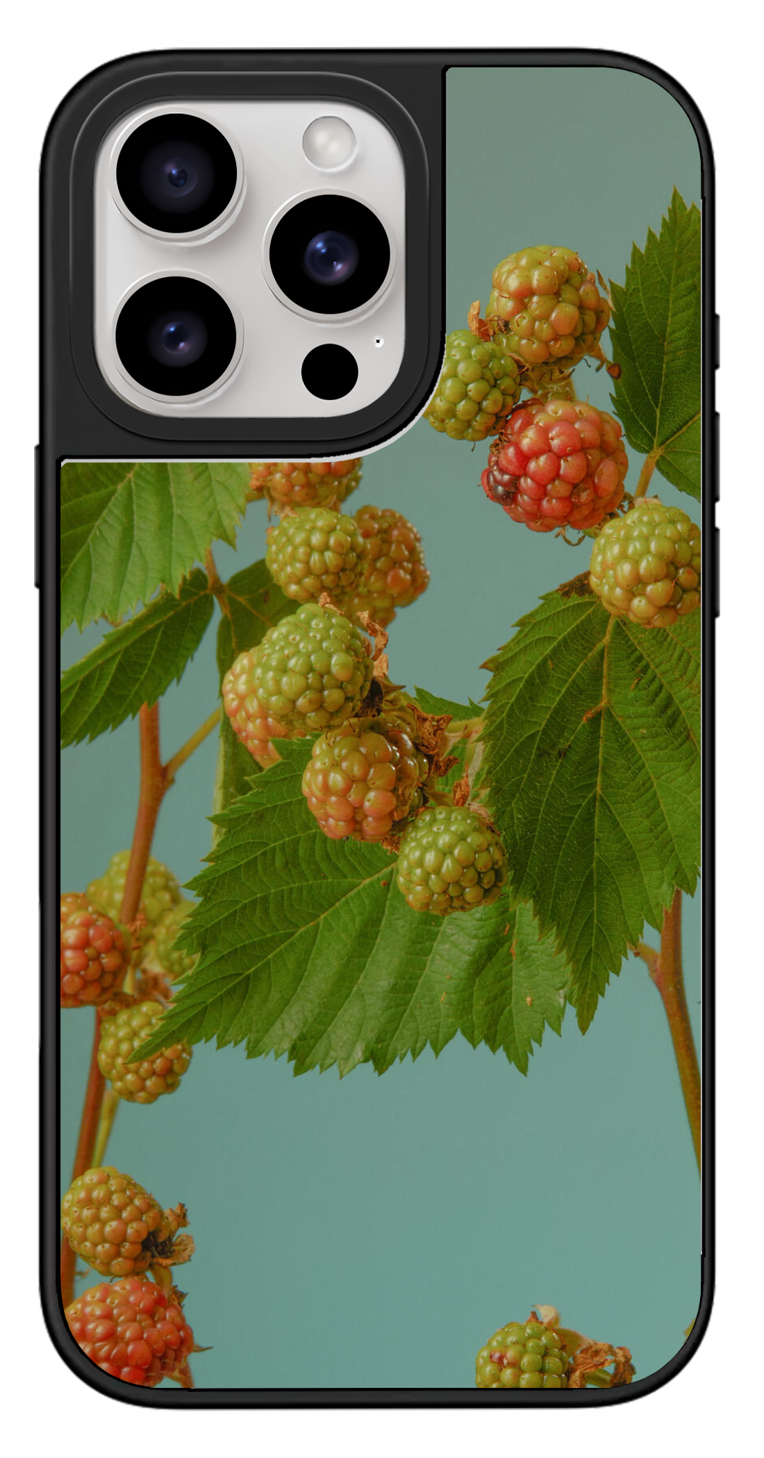 PixVoices rendered material preview - 3120 - Silver Mirror Case
